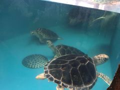 -成都浩海立方海洋公园