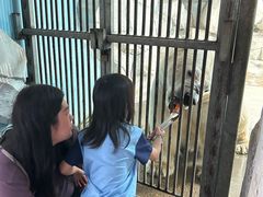 -泉城欧乐堡海洋极地世界