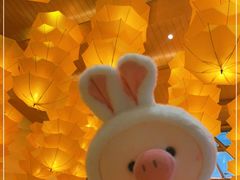 -阿斯牛牛十二餐厅•四季餐厅(民族大道店)