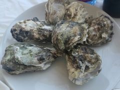 -渔民船说·北塘海鲜·天津菜·海肠捞饭(北塘古镇店)