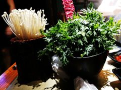 -手选潮汕鲜活牛肉火锅(二七广场店)