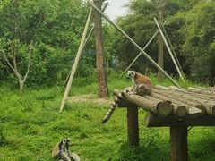 -宁波野生动物园