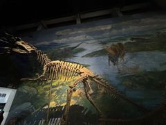 -自贡恐龙博物馆