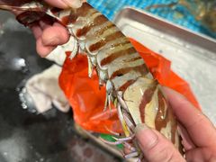 -苏先生海鲜渔庄(金桥店)