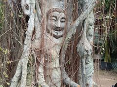 -呀路古热带植物园