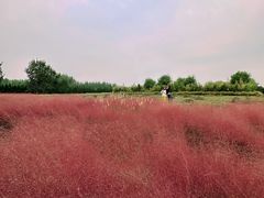 -汉长安城未央宫国家考古遗址公园