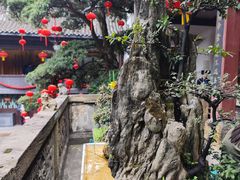 -自贡市盐业历史博物馆