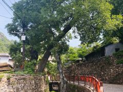 -水峪民俗村