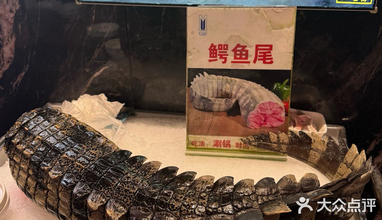 北京|教你吃海鲜自助天花板怎么回本🦞