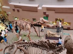 -陕西自然博物馆