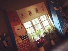 -猫咪博物馆(顶澳仔猫街店)