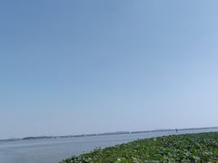 -莲花岛景区
