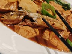 -大连湾旭日·家宴·海肠捞饭(马栏广场店)