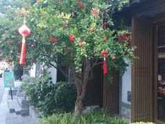 -鲤院·新中式美学·庭院餐厅(夫子庙店)