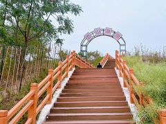 -恋山坝上草原