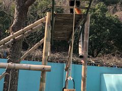 -无锡动物园·太湖欢乐园