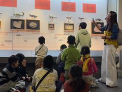 -国家自然博物馆