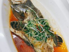 -海鲜e族(马王堆店)