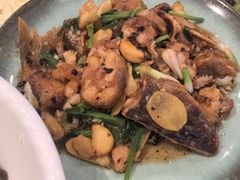 煎焗鲶鱼煲-禄源公·老莞诚饭店