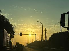 -上海滨江森林公园