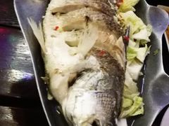 -Green Tree Rest. & Pub