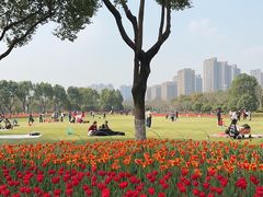 -院士公园