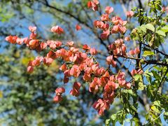 -上海山野camping·户外天幕烧烤·团建拓展营地