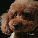 直到把它抱上来说拍几张照片发给它亲妈看看