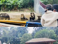 -贵州森林野生动物园