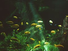 -福州罗源湾海洋世界旅游区