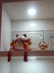 -晶奕空间专业脱毛连锁机构