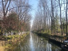 -合肥滨湖国家森林公园