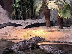 -上海海洋水族馆