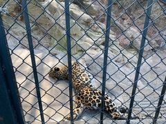 -大连森林动物园