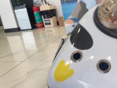 -艾吉宠物医院·疑难杂症转诊中心·猫友好(碧江路院)