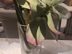 -浅深(世茂滨江精品店)