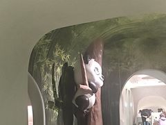 -眉州东坡·熊猫主题餐厅(枫蓝店)