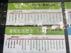 -上海市普陀区中心医院