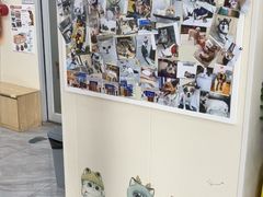 -芭比堂动物医院·24小时·眼科中心(深圳中心)