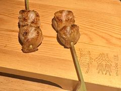 -鳥焱商店(王府大街店)