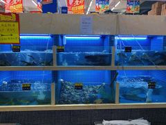 -福达坊批发城(汉阳黄金口总店)