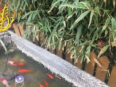 -顺承小院儿