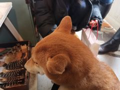 -小时光咖啡馆(北锣鼓巷店)