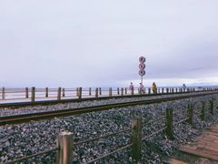 -青海茶卡盐湖文化旅游发展股份有限公司