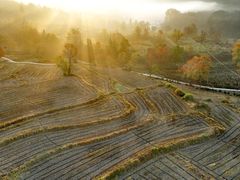-塔川景区