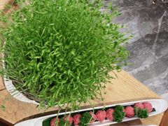 -好彩猪肚鸡(正弘城店)