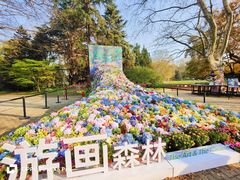 -上海共青森林公园