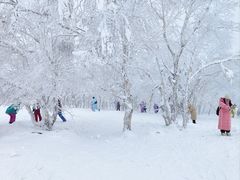-雪谷