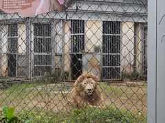 -合肥野生动物园