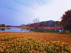 -同济大学(嘉定校区)